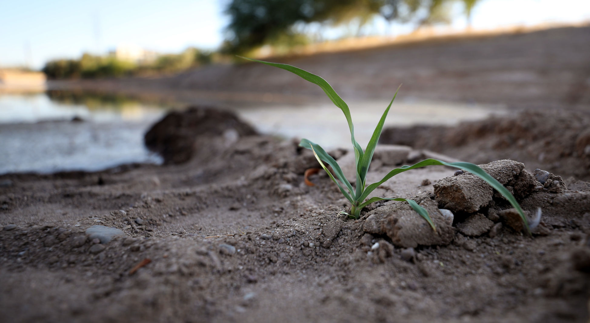 Santa Cruz River Project